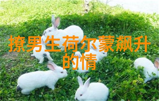 肤浅和功利男人泡美女男人泡妞的原因
