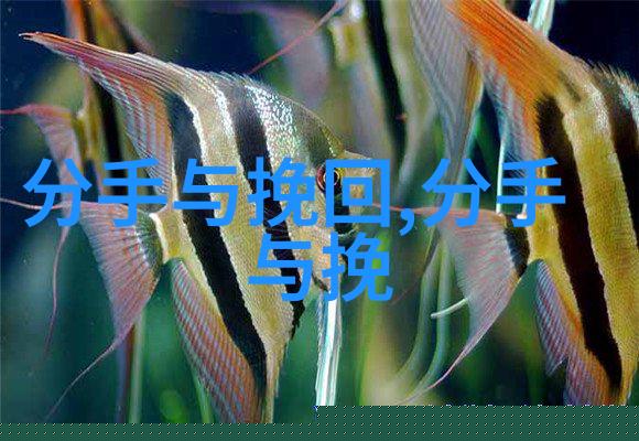 分手后前男友不理我怎么办 怎么让前男友愧疚