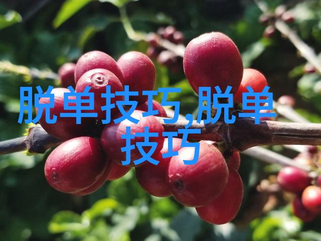 让女生感动到哭的表白的话语