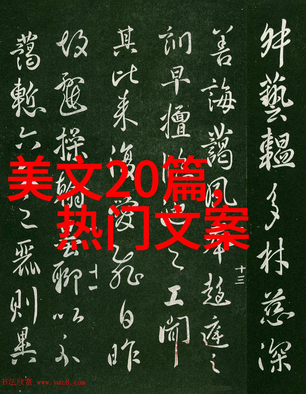 老公出轨后回归妻子如何调整自己一生所爱表达什么感情